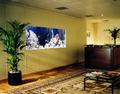 Aquarium Design, Manufacture and Installation