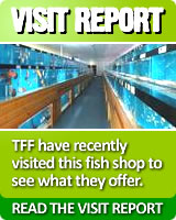 Read about our visit to this fish shop here!!