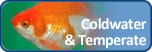 Coldwater & Temperate Fish