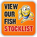 View our full TF2YD stocklist