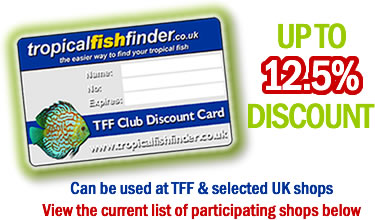 The TFF Card